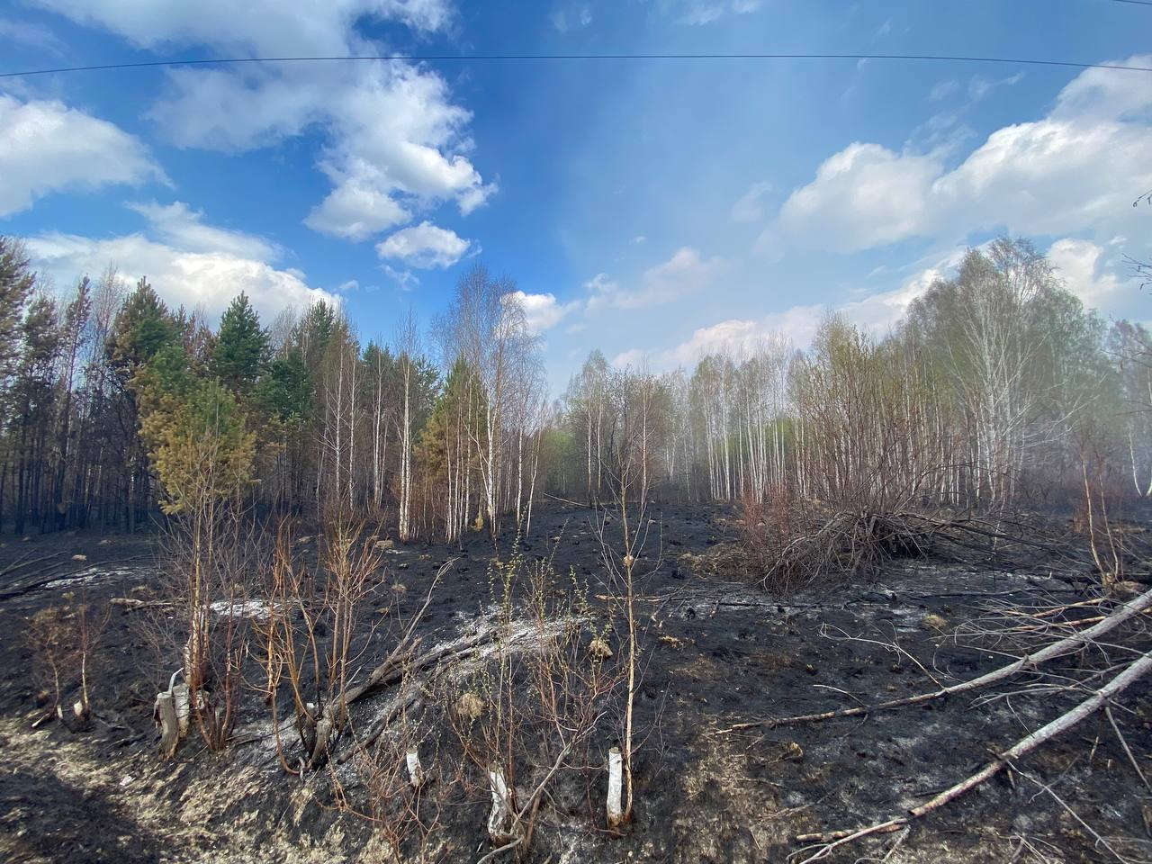 лесные пожары 2022 2