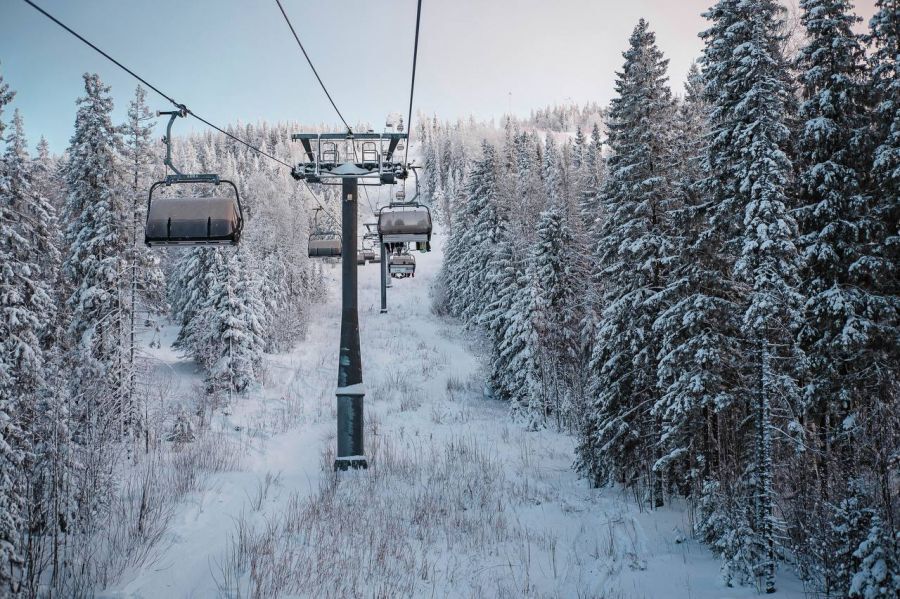 0d3d0aecac79ee92ce15f54ab3adf5cf 900x